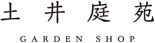 園芸初心者におすすめのお花を選ぶお手伝いをします！お花を買うなら伊丹市の人気園芸店の『土井庭苑』！